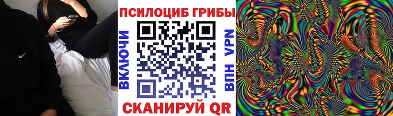Псилоцибиновые грибы Cubensis  Махачкала 